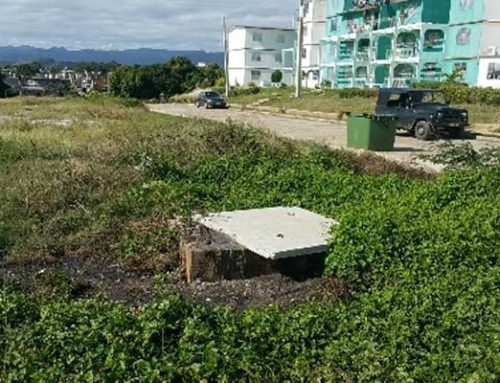 Vertido de aguas putridas contaminan la plaza de Trinidad