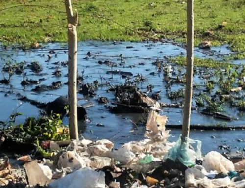 Acueductos y Alcantarillados vierte desechos de las fosas sanitarias donde viven familias